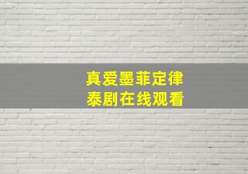 真爱墨菲定律 泰剧在线观看